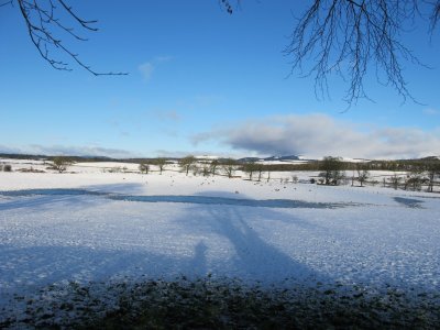 Snow Glentrool area 14.jpg