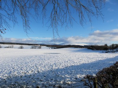 Snow Glentrool area 16.jpg