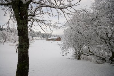 Snow Glentrool area 6.jpg