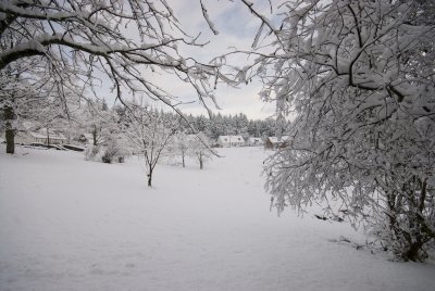Snow Glentrool area 8.jpg