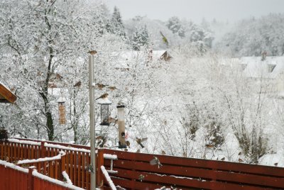 Snow fall Glentrool1.jpg