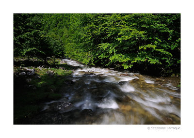 Au fil de l'eau