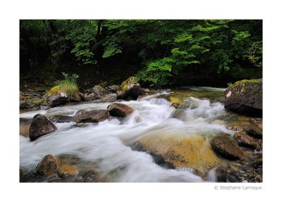 Au fil de l'eau