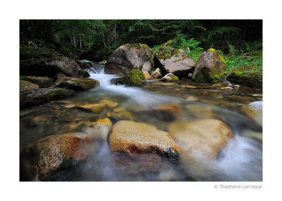 Au fil de l'eau