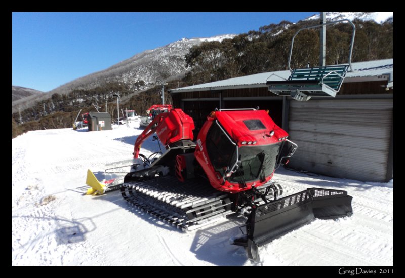 Piston Bully Groomer