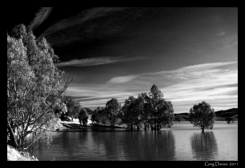 Mitta Mitta River in Black & White #2