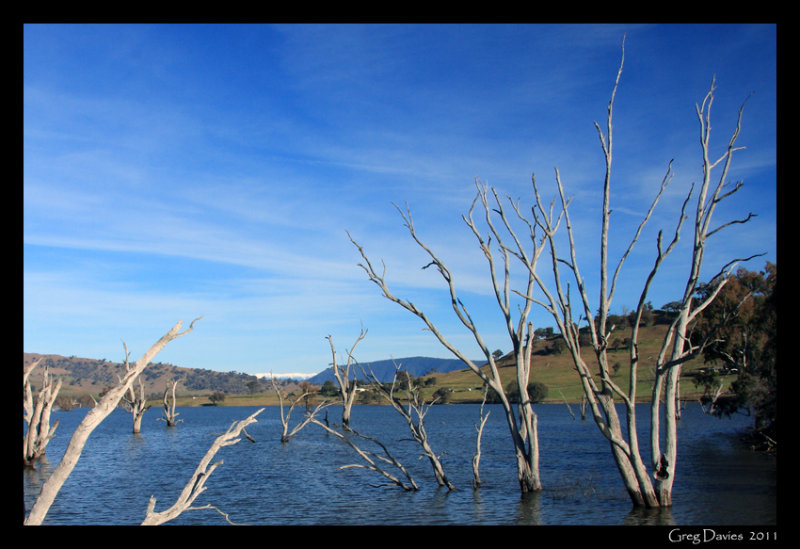 Mitta Mitta River #3