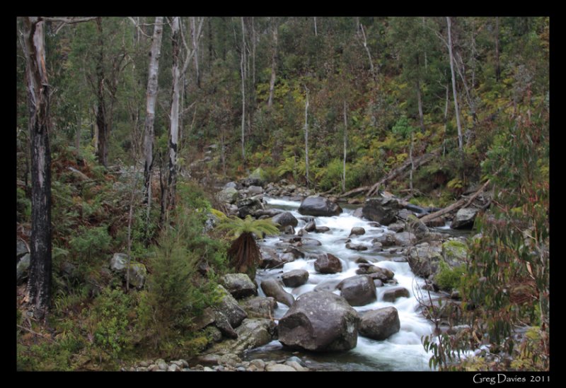 East Kiewa River