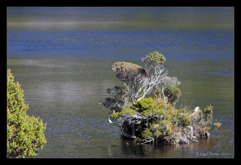 Small Islet