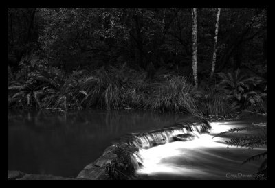 Lilydale Falls & Merthyr Park - Tasmania