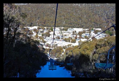 View Down Snowgums