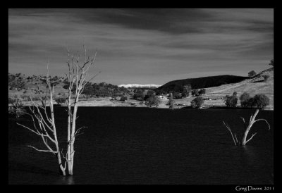 Mitta Mitta River in Black & White #1