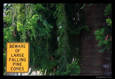 Notice in Bright Township