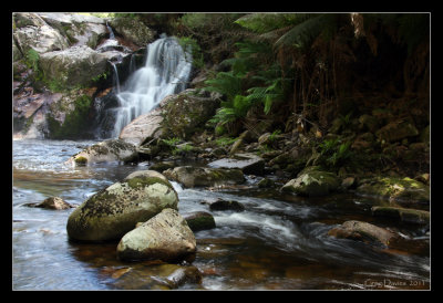 Halls Falls - Tasmania