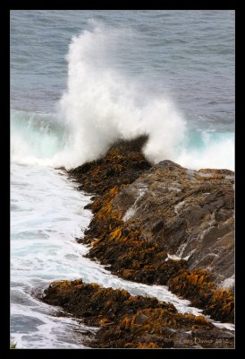 Coastline near Remarkable Cave