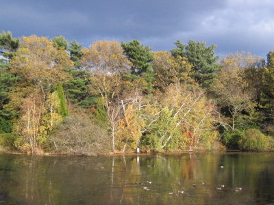 Autumn Sky Above the Mill Pond