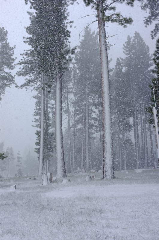 White Out (6)