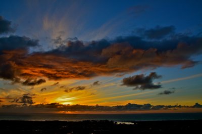 DSC_0448.JPG