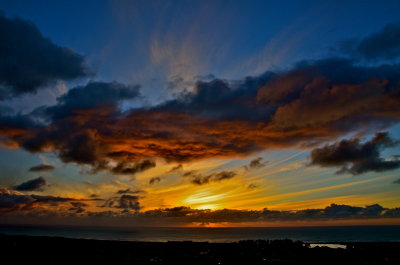 DSC_0450.JPG