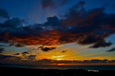 DSC_0462.JPG