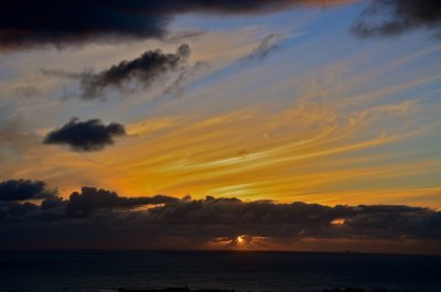 DSC_0484.JPG