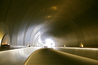 Pedestrian Tunnel To Miho Museum (3)