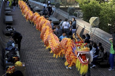 CYC Dragon Roll Practice For The Chinese New Yr Parade