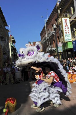 DSC_2896.jpg