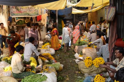 Malik Ghat flower market Kulkata 13/12