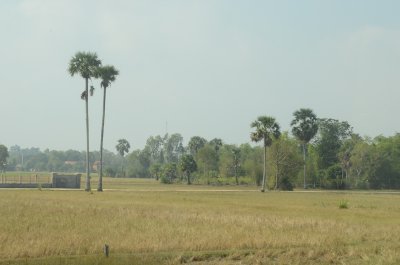 phong canh tinh Svay Rieng .Cambodia