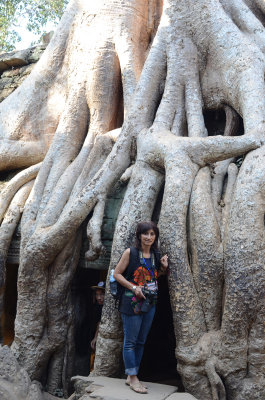 re cay Banyan