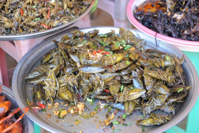 Ca Cung