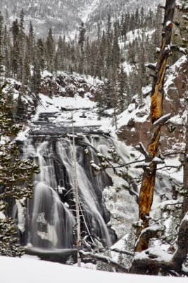 IMG_0054-Edit-15.jpg