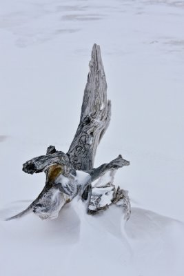 _MG_9499-Edit-24.jpg