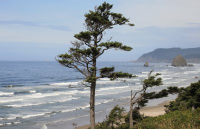IMG_3755y.jpg