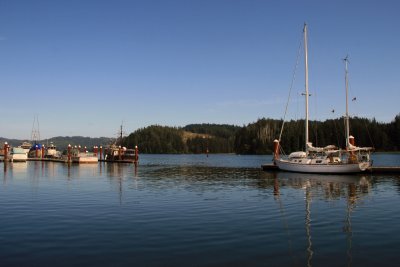 IMG_4393y.jpg