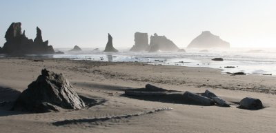 IMG_4828x.jpg