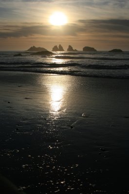 IMG_5640x.jpg