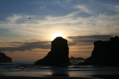 IMG_5658.JPG