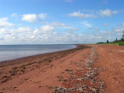05-Aug-2006 | Beach in front of our campsite on PEI