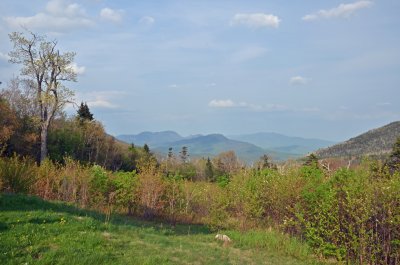 wilderness