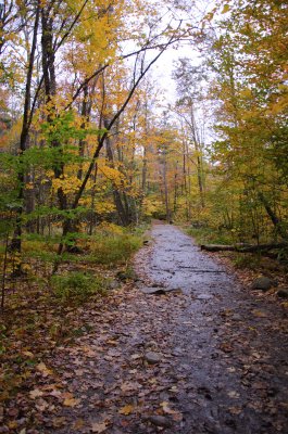  New Hampshire Fall