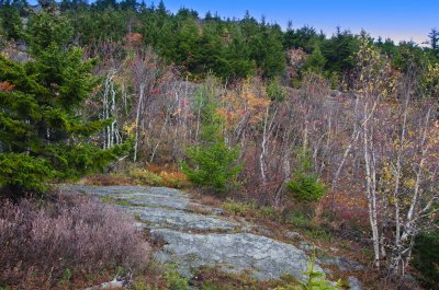 New Hampshire Fall