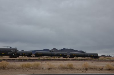 joshua_tree