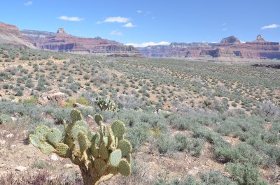 grand_canyon