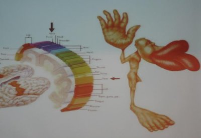 icmart 2011 2 022.JPG