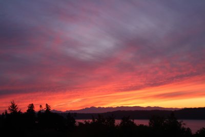 Sunset View Over Olympic Mountains.jpg