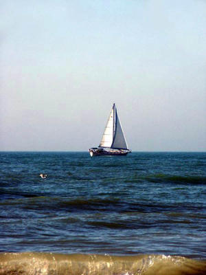 PICT5479-clearwater-beach-sailing.jpg