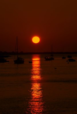 _DSC2989.jpg