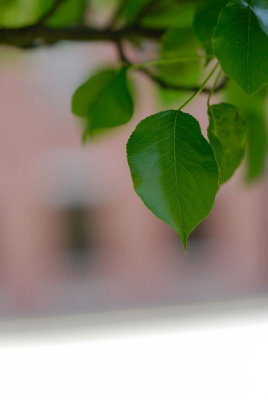 _DSC2041_fullframe.jpg